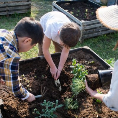 Sustainable homes increase in demand - 6 features buyers want
